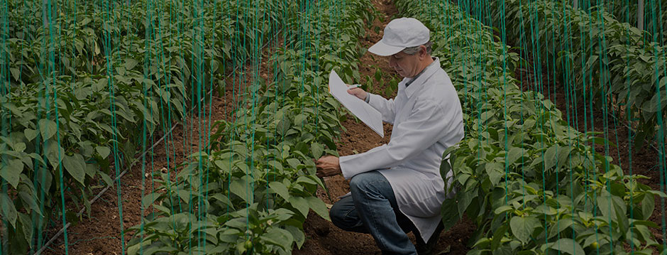 خدمات شماره 3 خدمات شماره 3